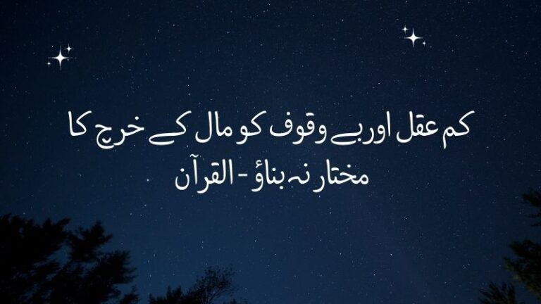 Hazrat Zainab 4rth Speech | حضرت زینب سلام علہھا کا چوتھا خطاب ( اہل کوفہ کوخطاب کرکے فرمایا )