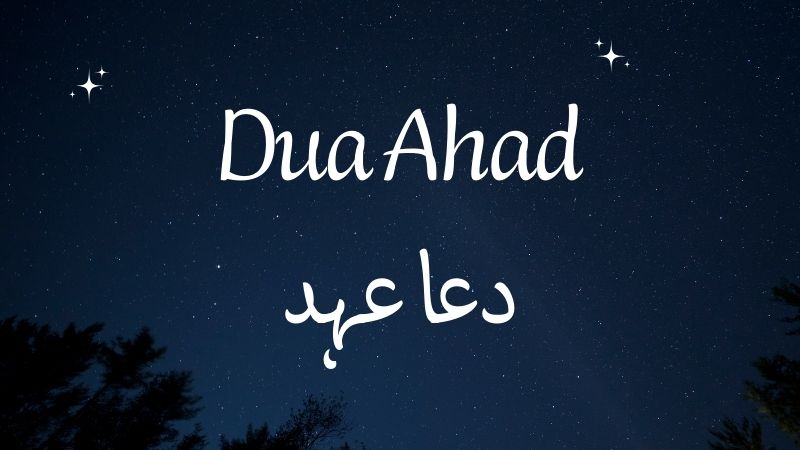 Dua Ahad: Meaning, Translation, and Spiritual Significance