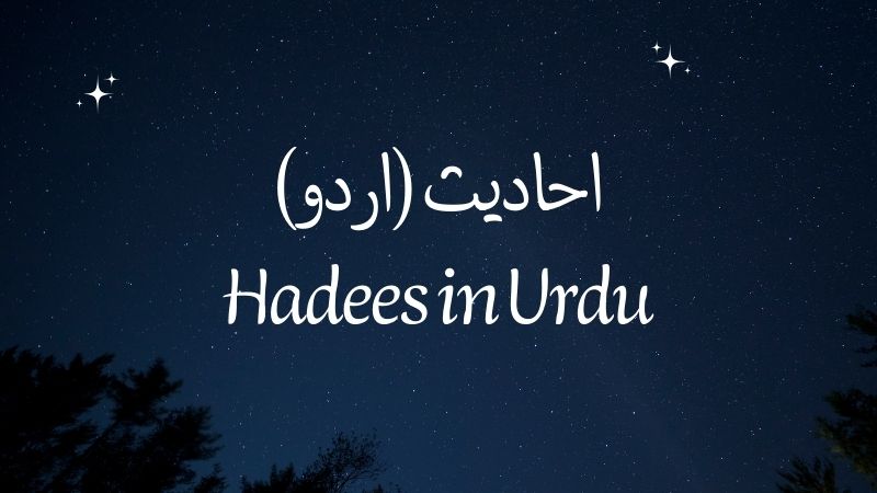 Hadees in Urdu | احادیث (اردو)