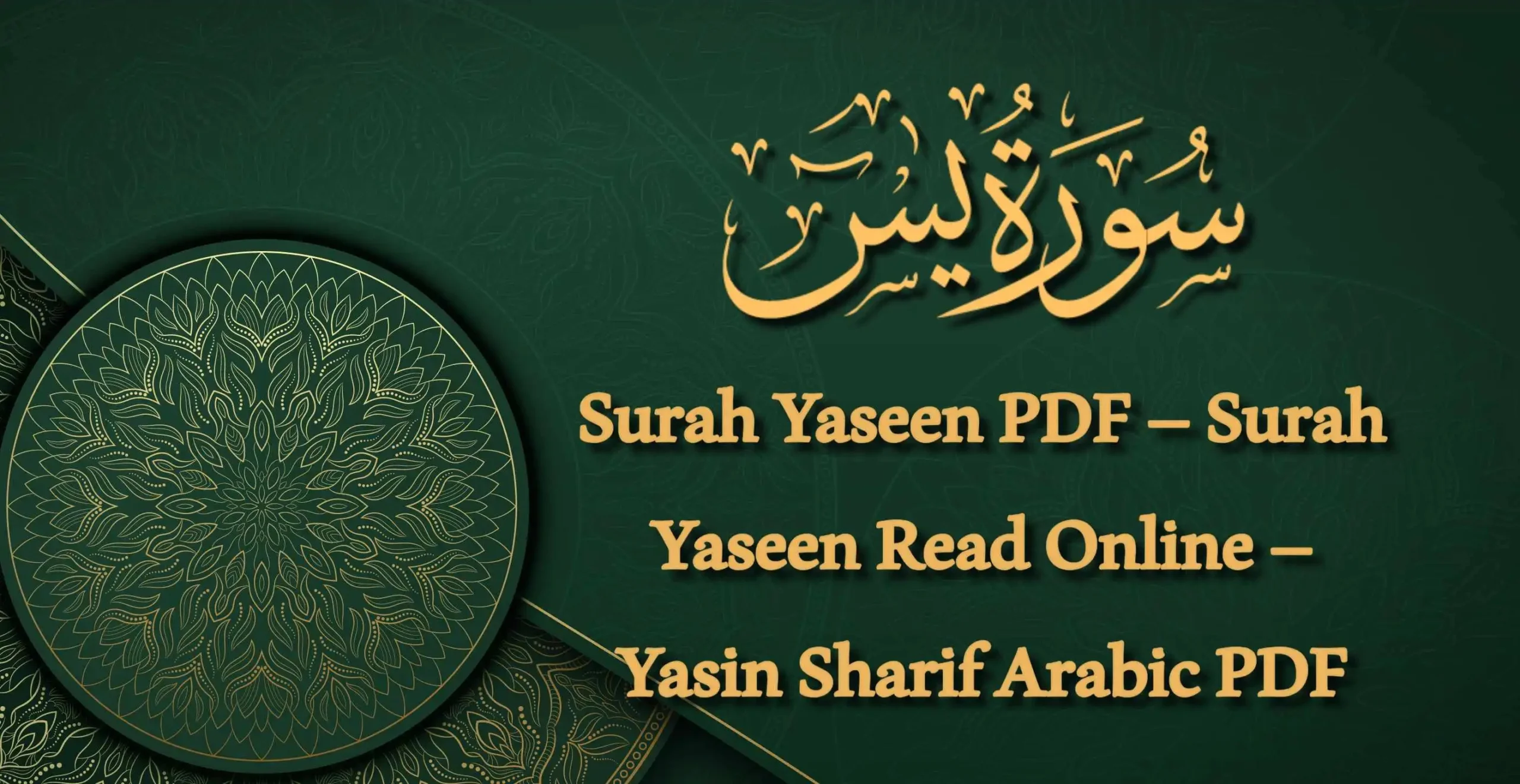Surah Yaseen Read Online Sura Yaseen PDF Yaseen Sharif Arabic English Urdu | سورہ یٰس
